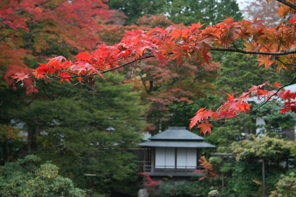 Tempel Kyoto