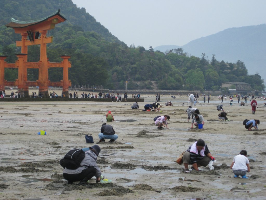 Miiyajima