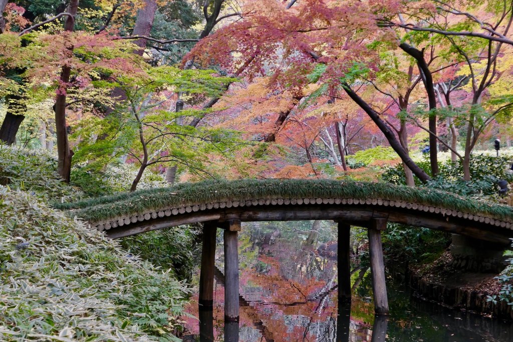 Brug over een riviertje met herfstkleuren